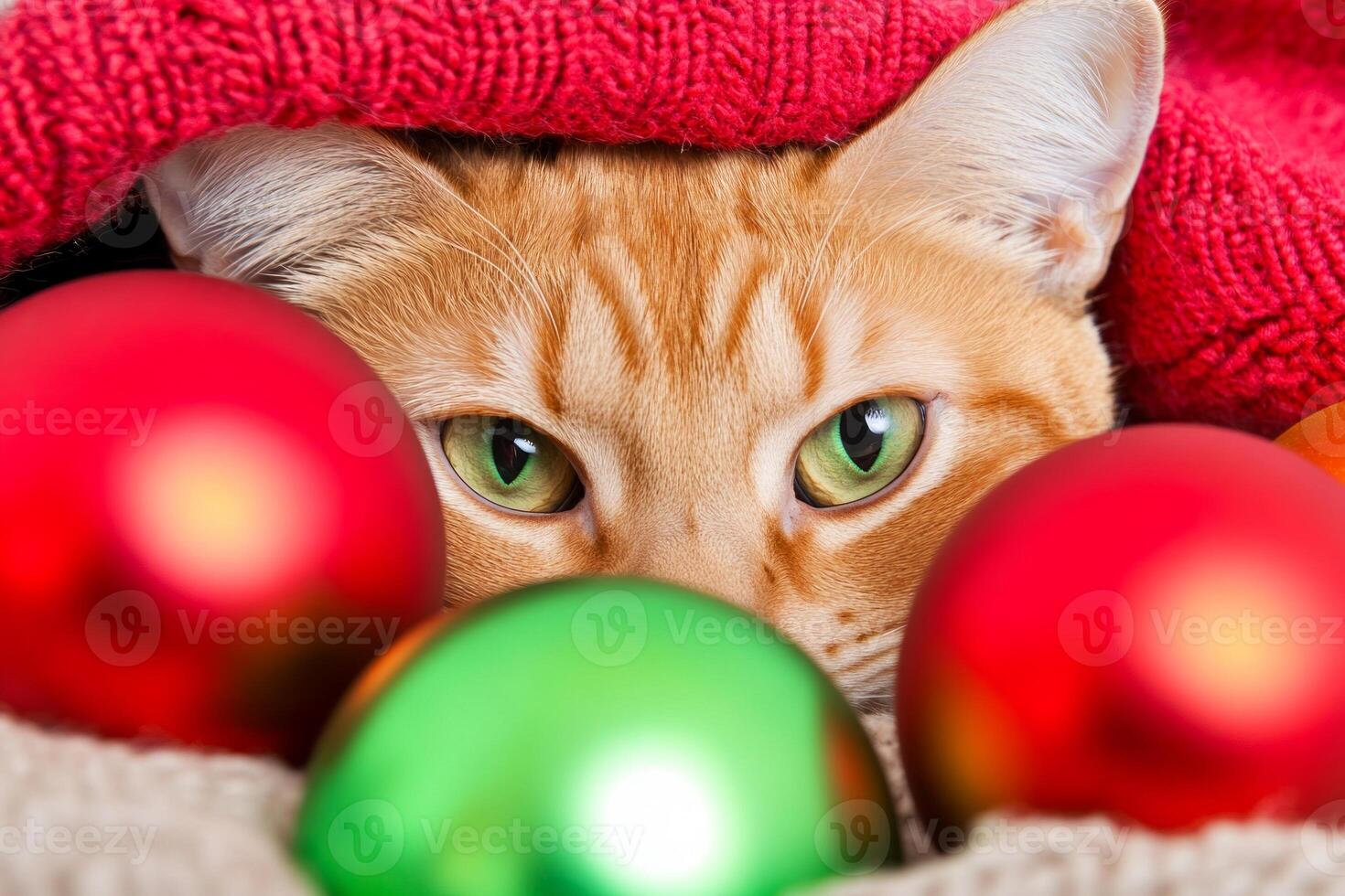 Curious Bengal cat exploring Christmas ornaments while resting on a cozy blanket during the holiday season photo