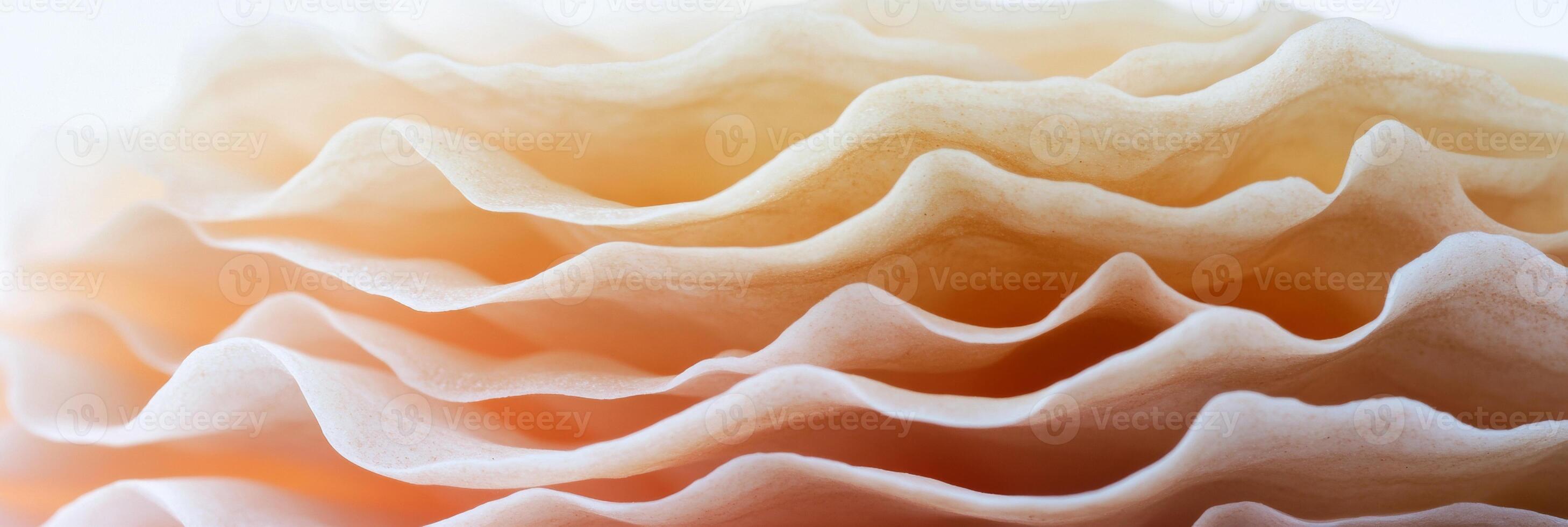 Soft focus on organic shapes in brown and pink creates a warm, natural atmosphere for calming decor photo
