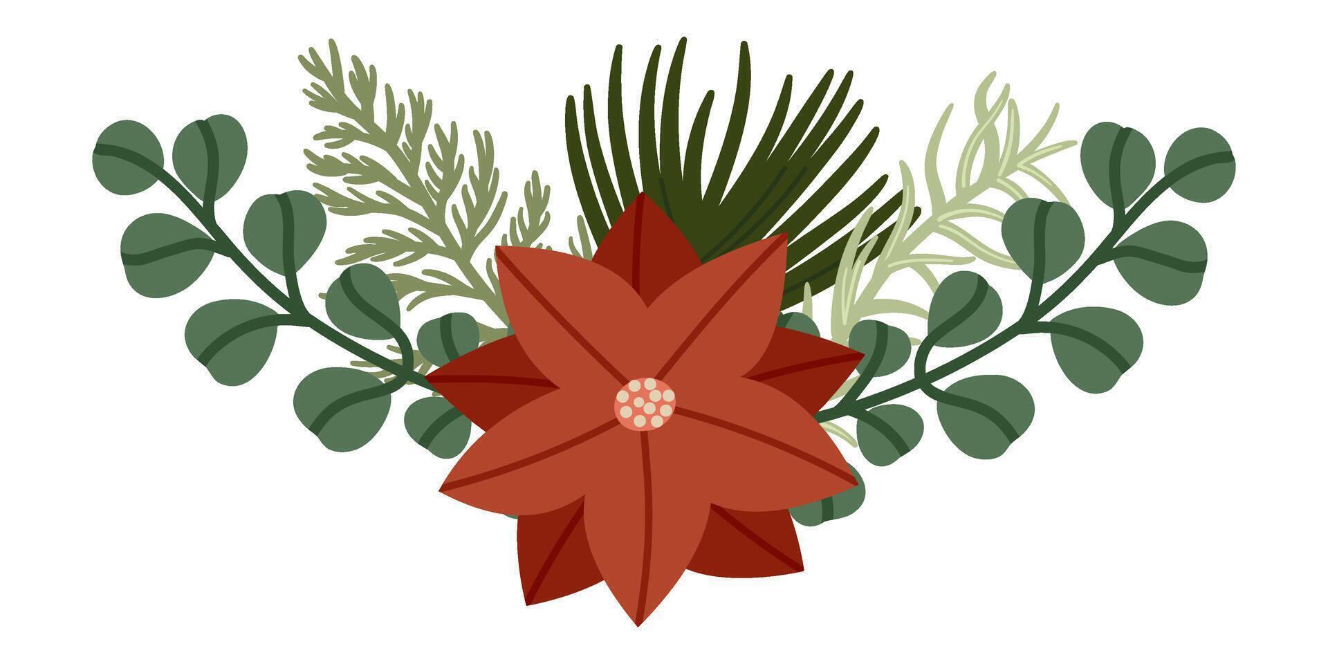 Botanical Christmas Floral Decoration with Poinsettia vector