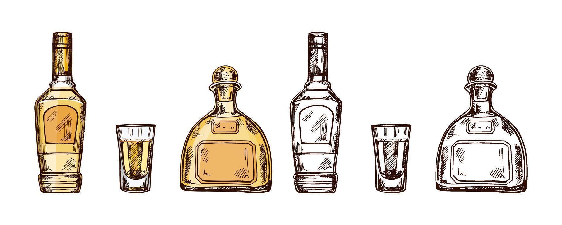 Hand-drawn colored and monochrome bottles of tequila and shot glass with tequila. Design element for the menu of bars and in engraving style. Mexican, Latin America. vector