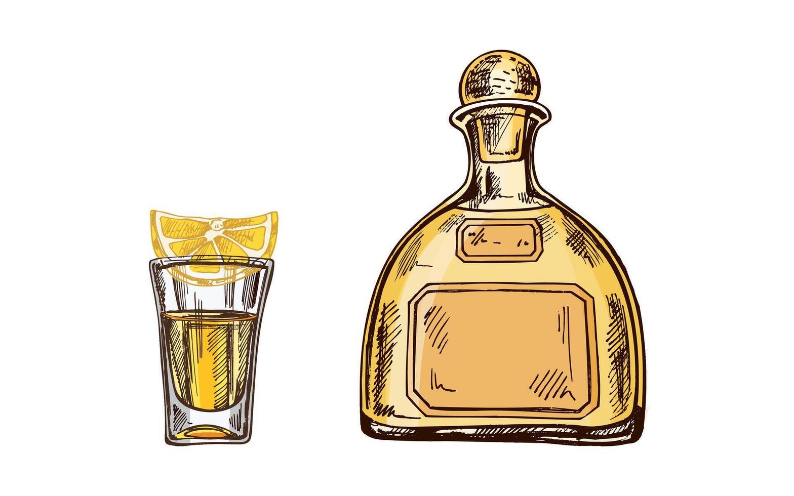 Hand-drawn colored and monochrome bottle of tequila and shot glass with tequila with a slice of lime. Design element for the menu of bars and in engraving style. Mexican, Latin America. vector