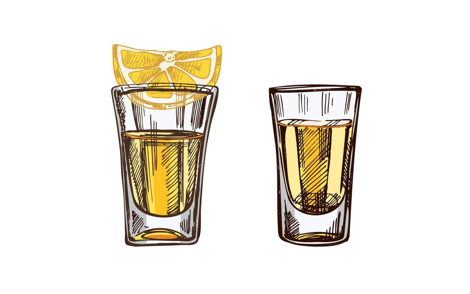 Hand-drawn colored shot glasses with tequila with a slice of lime. Design element for the menu of bars and restaurants, alcohol stores. Mexican, Latin America. vector