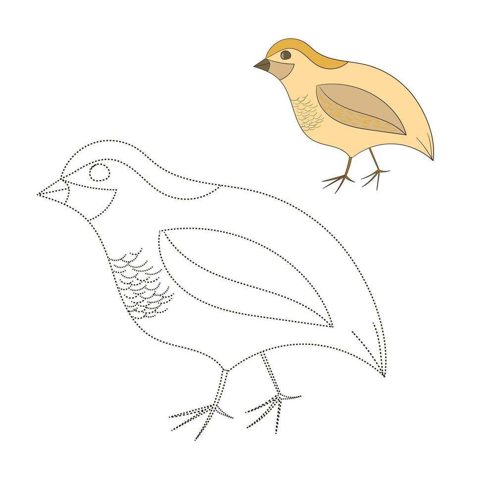 Connect the dots game quail cartoon hand drawn doodle illustration vector