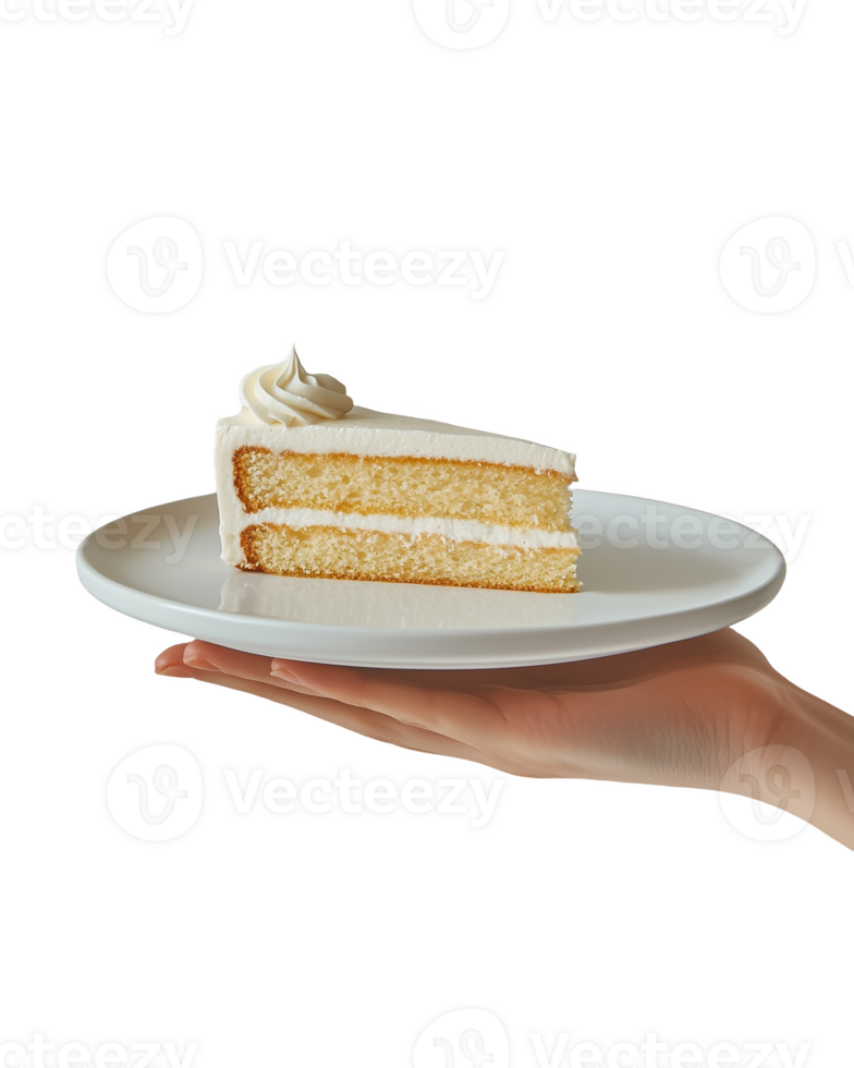Person holding a ceramic plate with a slice of cake topped with cream frosting png
