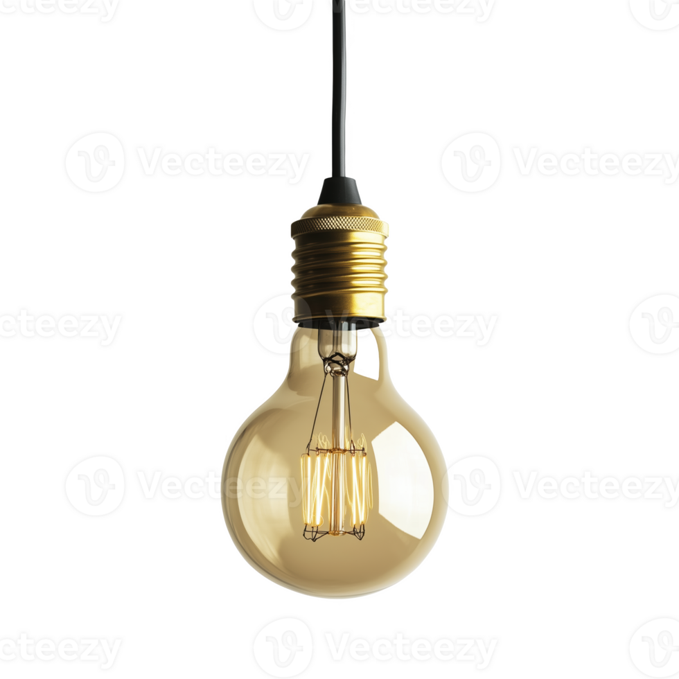 Golden light bulb hanging from a black wire against a plain png