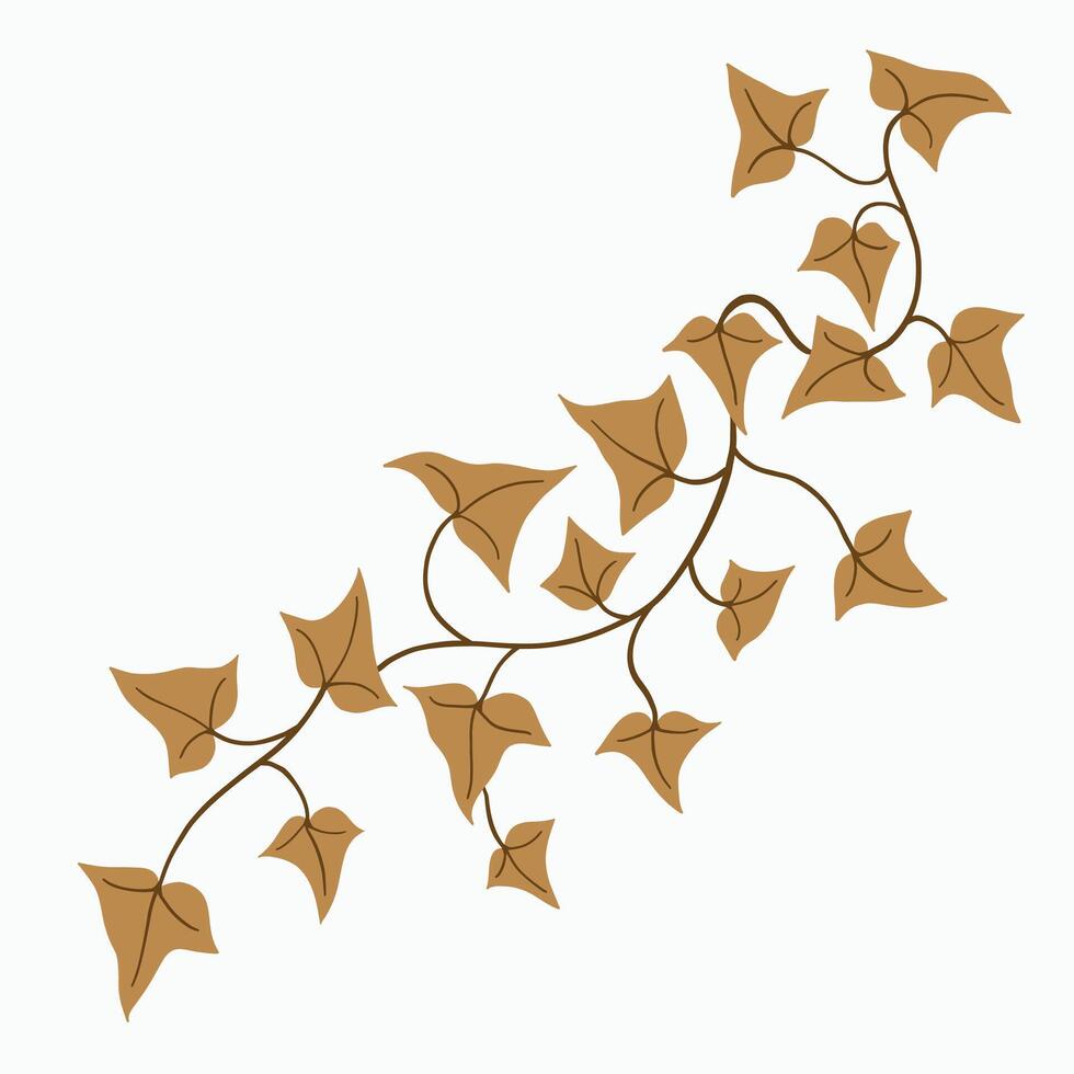 Floral ivy drawing decorative ornament flat design. vector