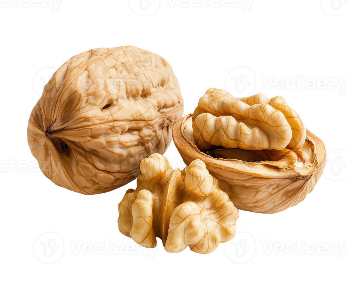 The bounty of nature a closed walnut and its open twin reveal rich textures png