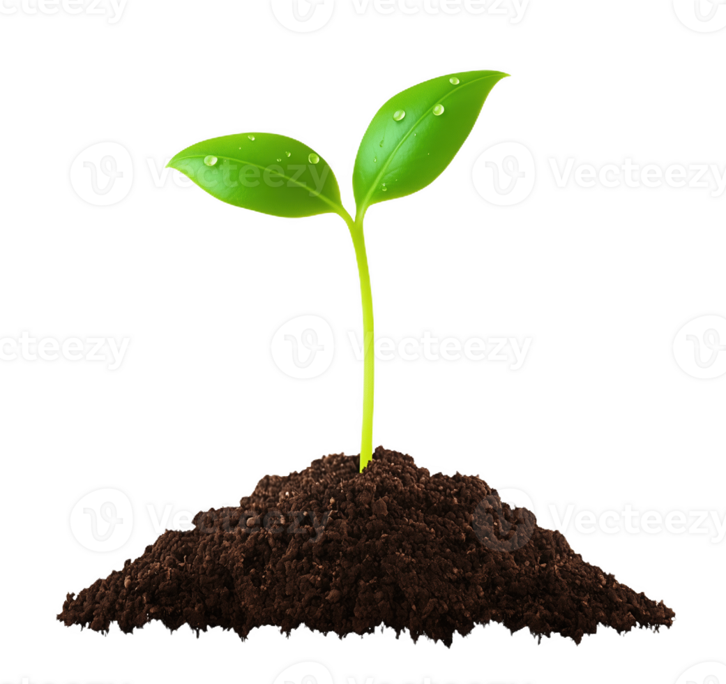 A vibrant green plant sprout emerging from rich soil in a bright and hopeful environment png