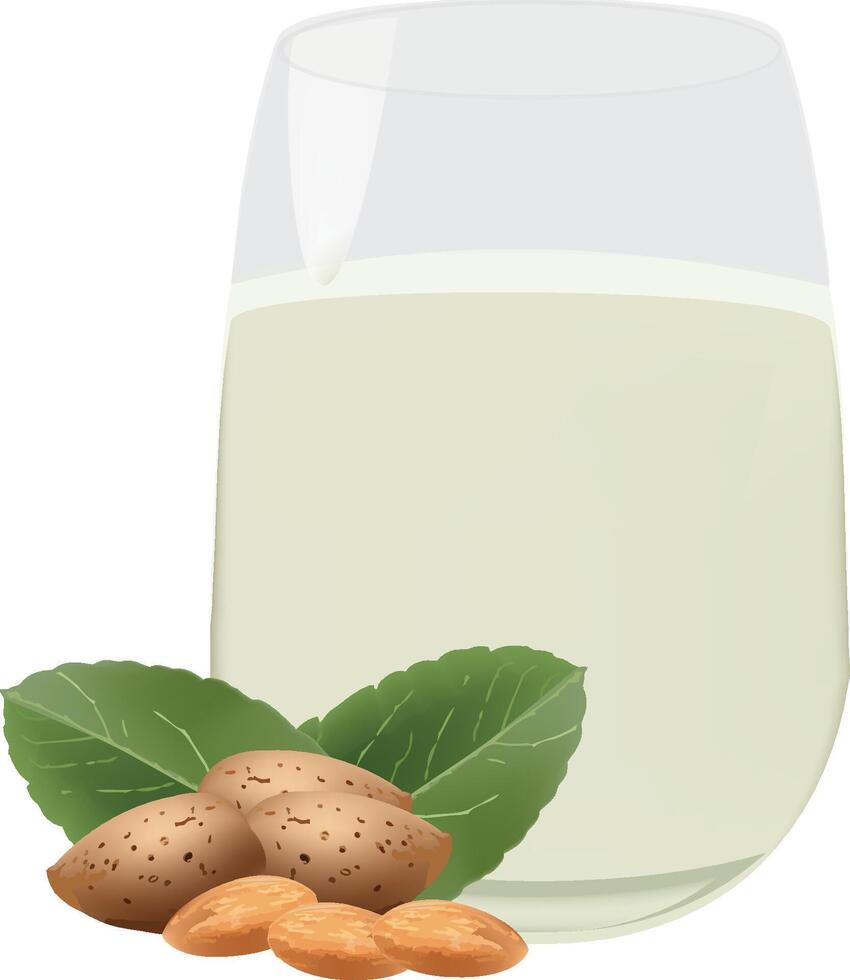 Glass of almond milk with fresh almonds and leaves vector