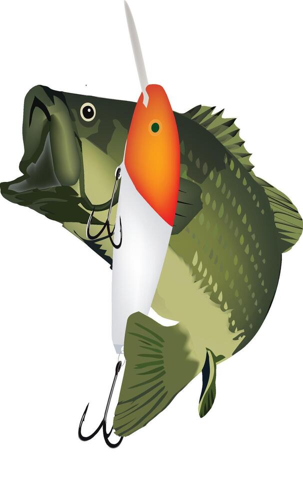 A fish with a lure on a white background vector