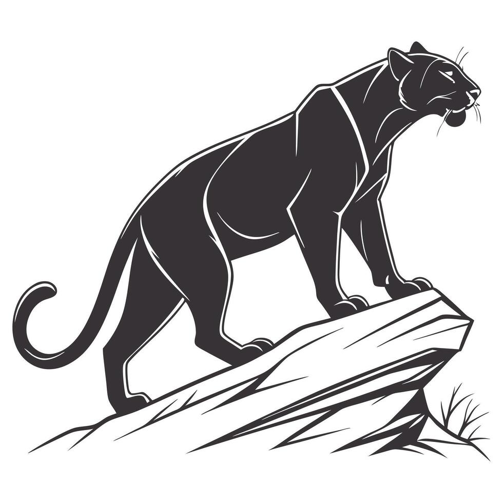 Drawing of a Panther vector