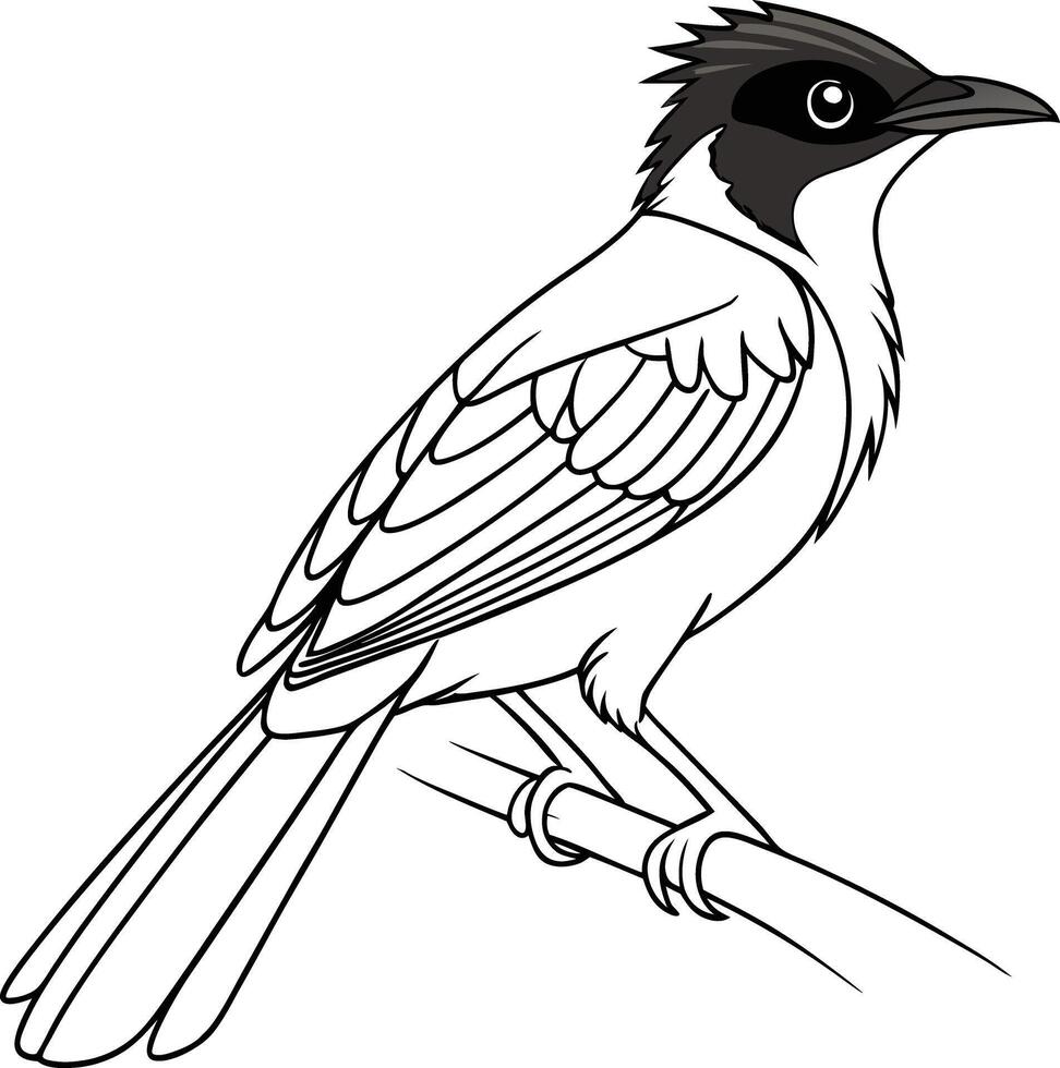 Continuous Line Drawing Of A Cardinal vector