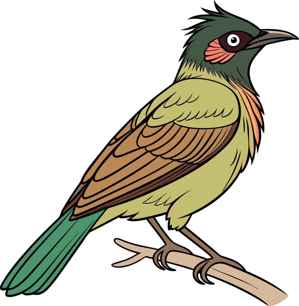 An illustration of a warbler bird vector