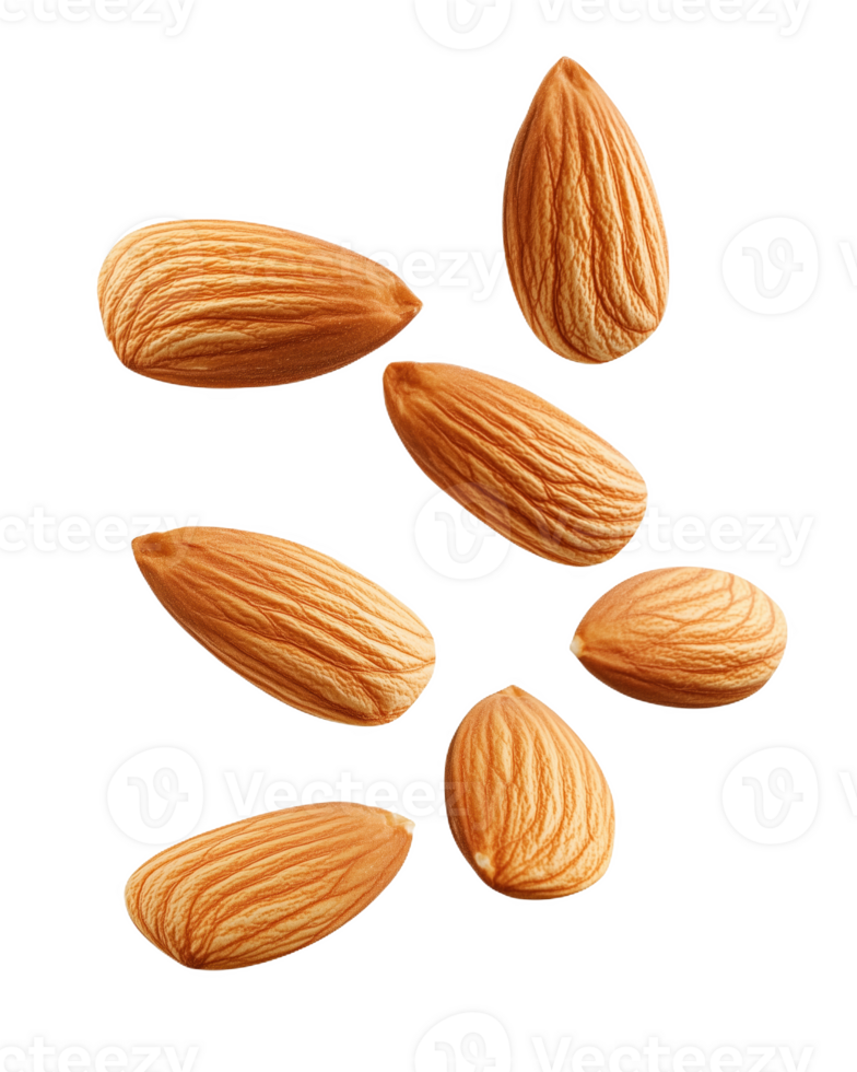 Aerial view of smooth, shiny light brown almond nuts scattered on a clean background png