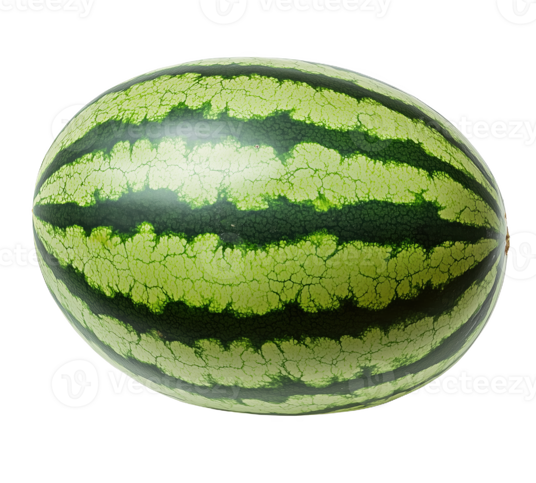 Vibrant green and black striped oval fruit for summer gatherings and treats png
