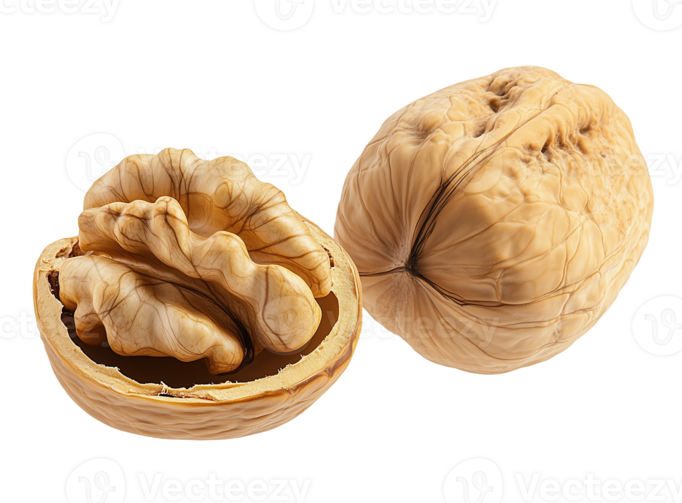 Natural beauty revealed in an open walnut shell showcasing its intricate design png