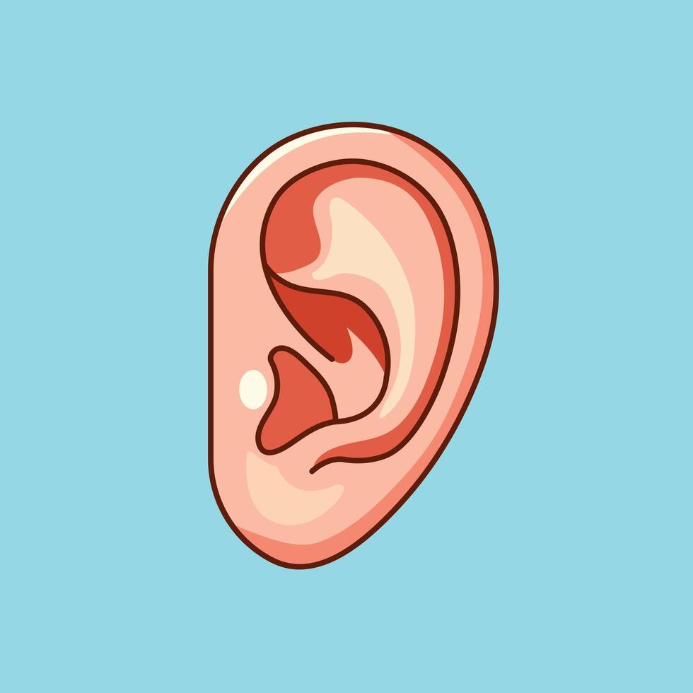 Human Ear Cartoon Icon Illustration. Education Object Icon Concept Isolated Premium . Flat Cartoon Style vector