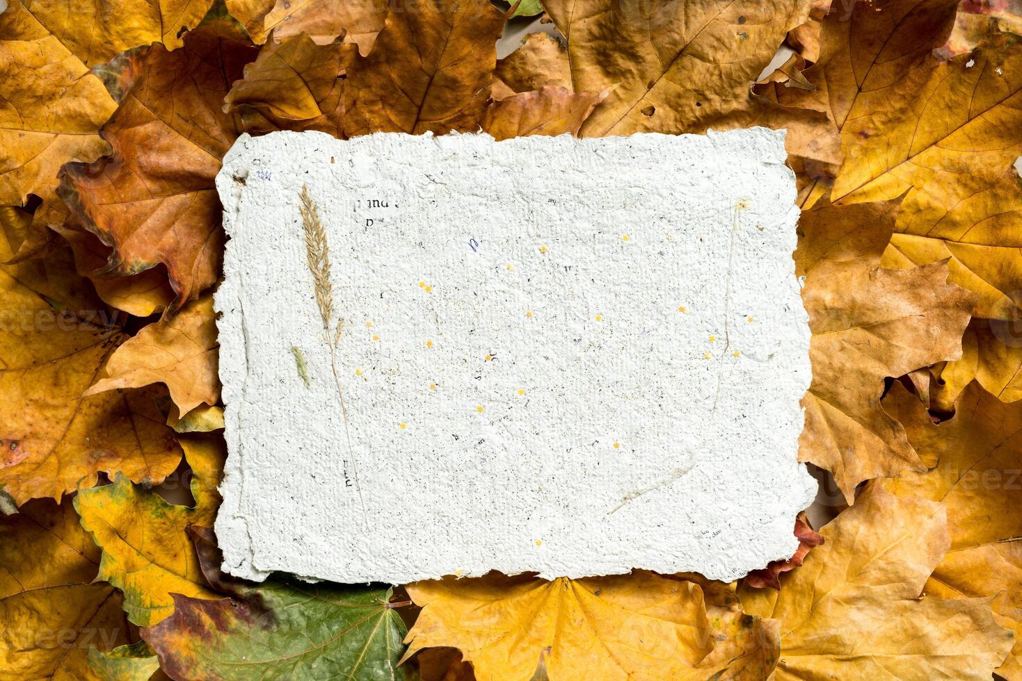A sheet of recycled paper with autumn leaves photo