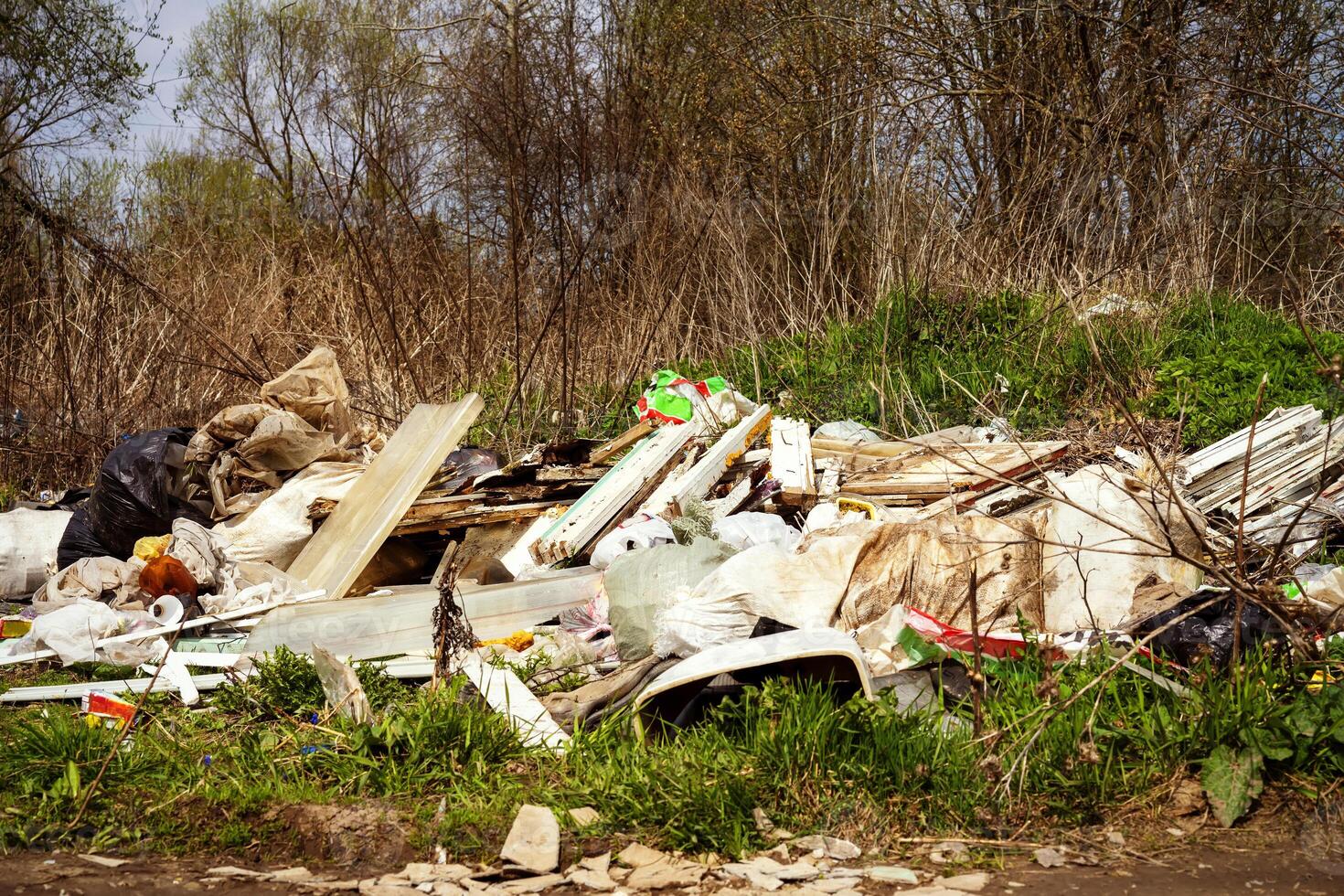 Household garbage in nature. Human pollution of the environment. People illegally throw garbage into forest. Illegal garbage dump in nature. Dirty environment garbage polluting photo