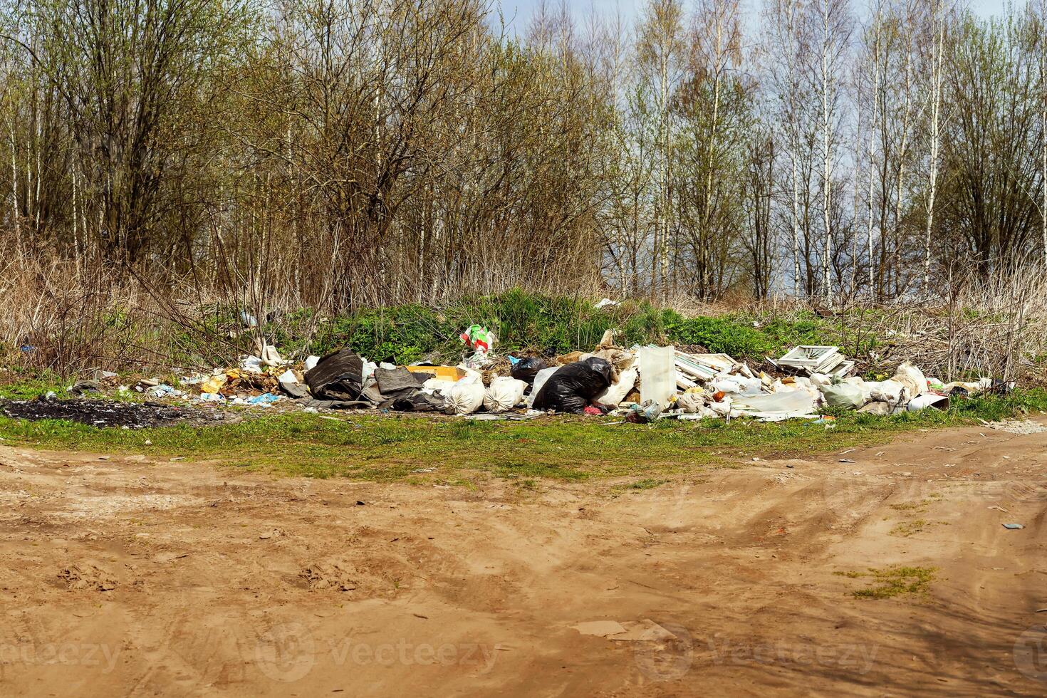 Household garbage in nature. Human pollution of the environment. People illegally throw garbage into forest. Illegal garbage dump in nature. Dirty environment garbage polluting photo