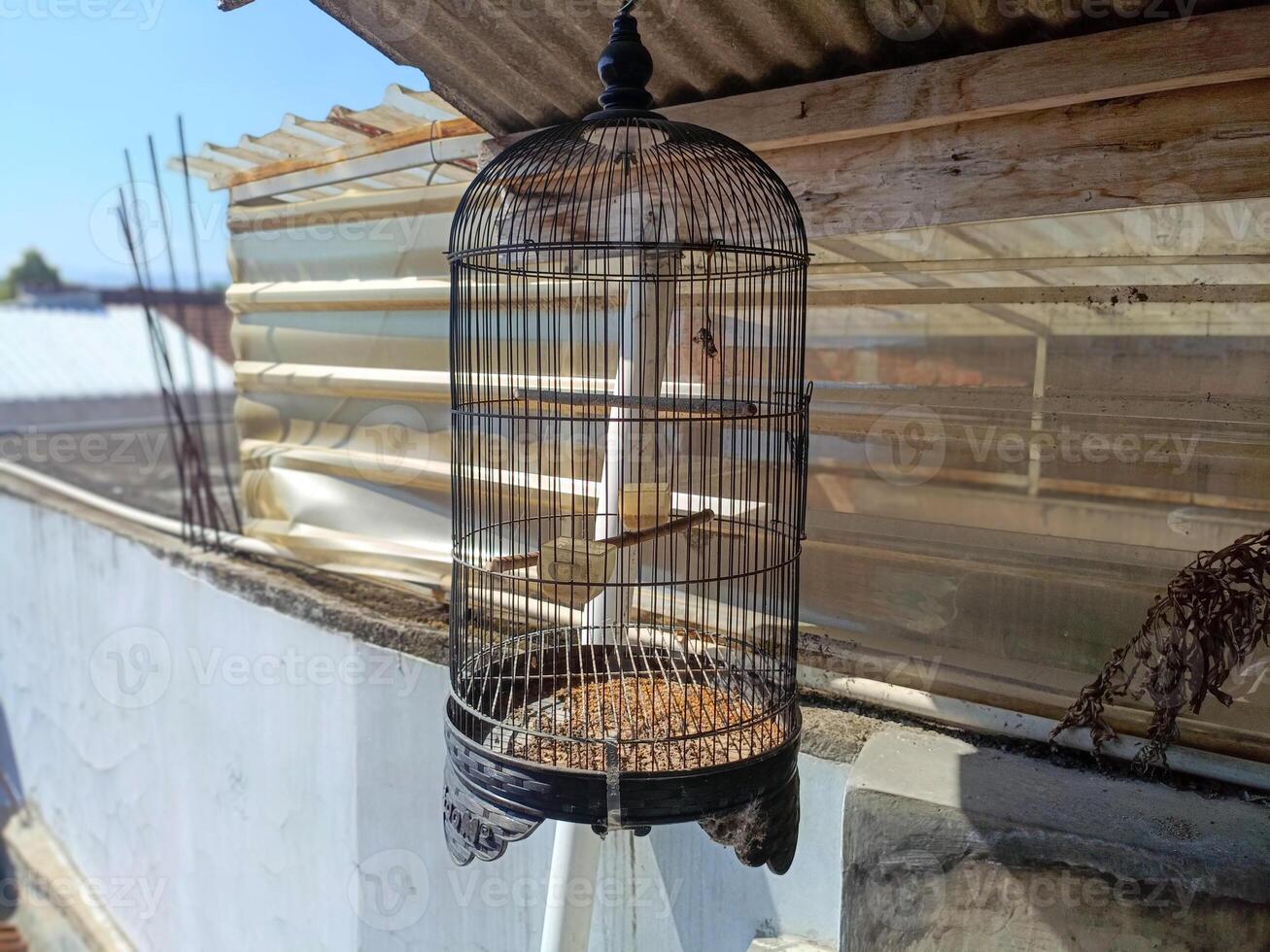 Bird cage with leftover bird food and bird droppings. The bird cage is dirty and no longer used. photo