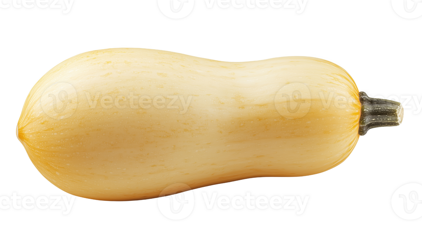 Capturing the essence of a butternut squash in striking detail against a simple backdrop png