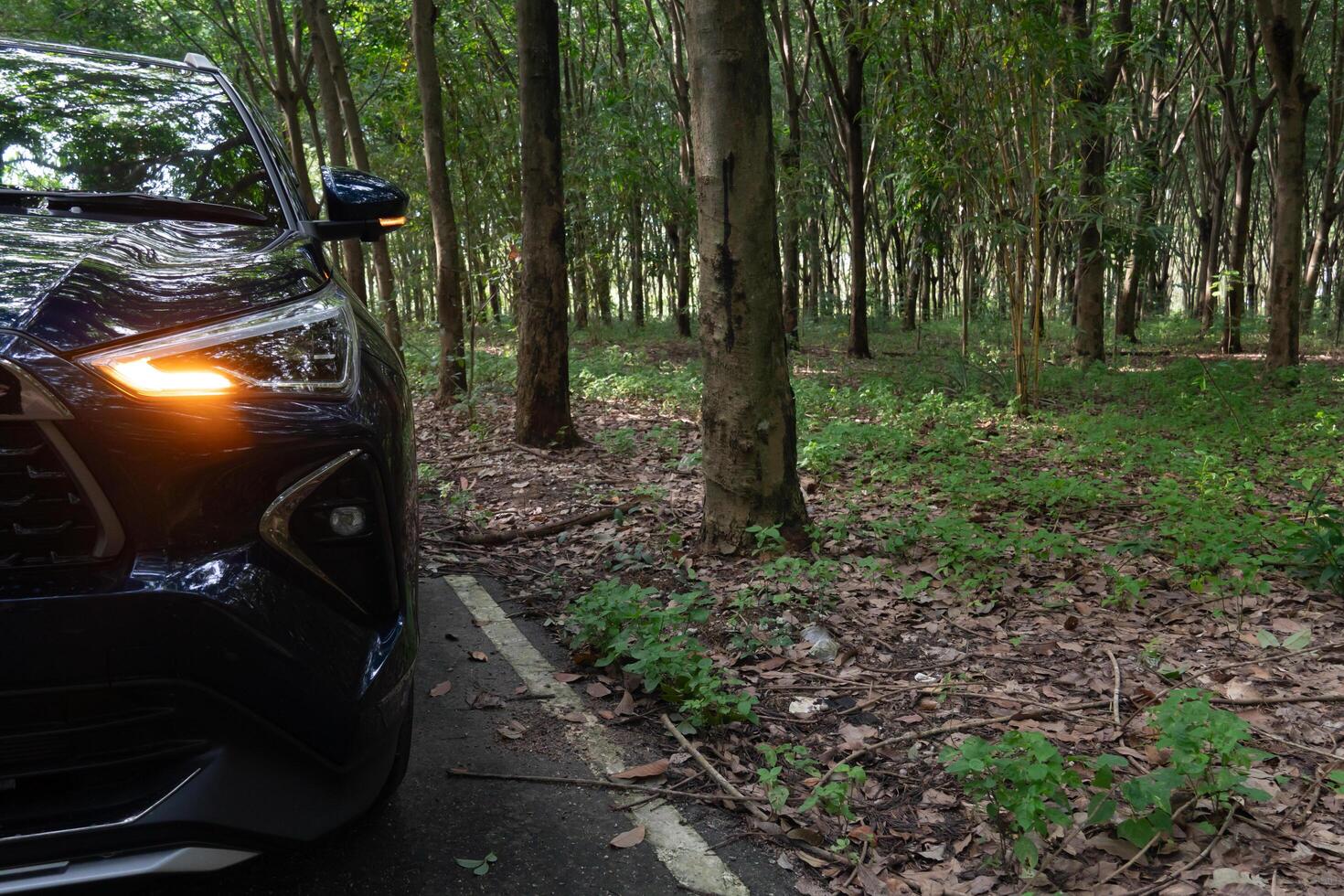 Close up fron of dark car parking with turn on light signal on asphalt road. Beside of rubber tree forest with green grass on ground. photo