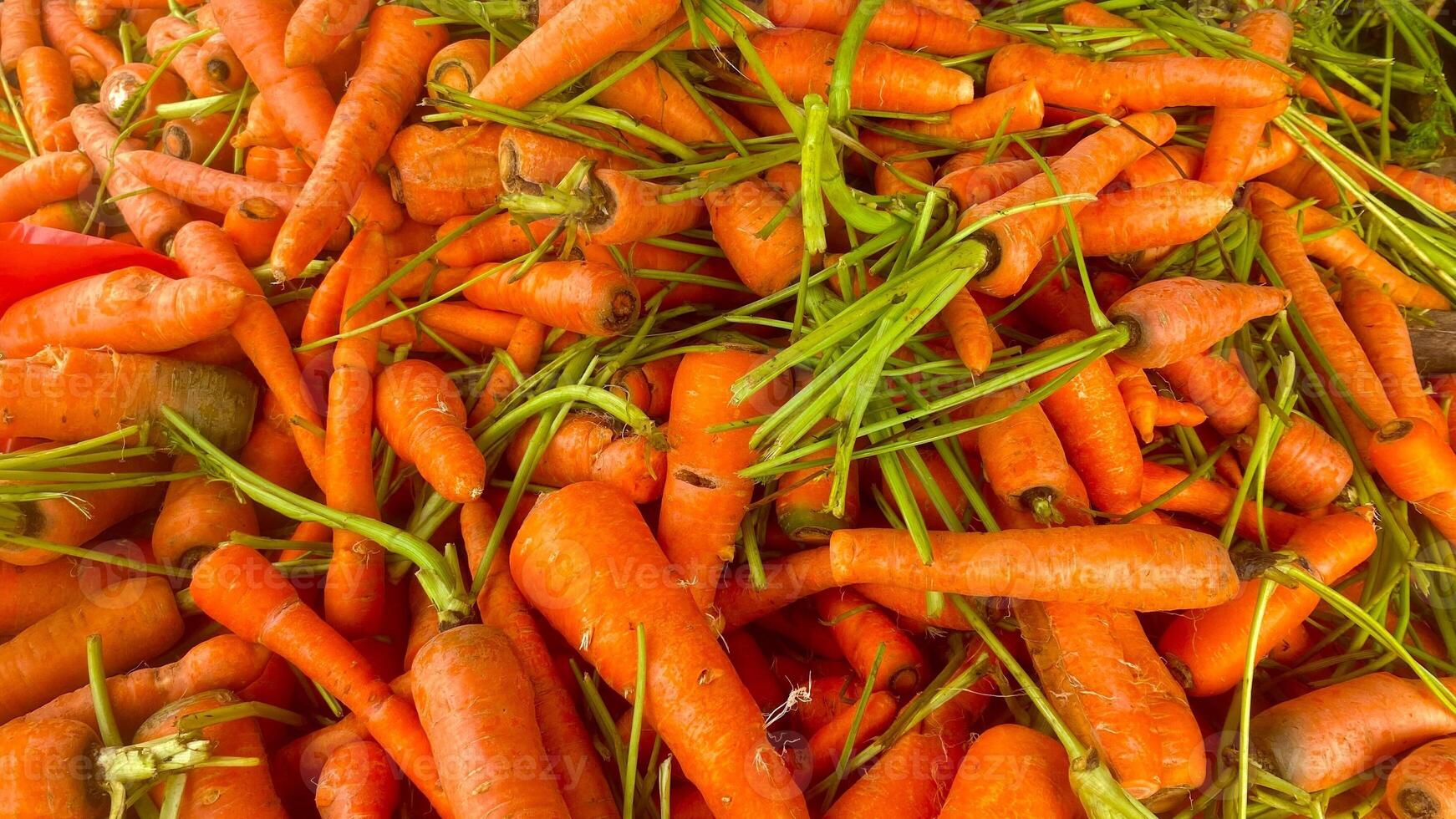 A Pile of Carrots photo