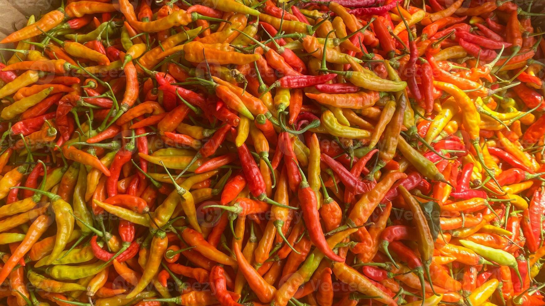 A Pile of Chili Peppers photo