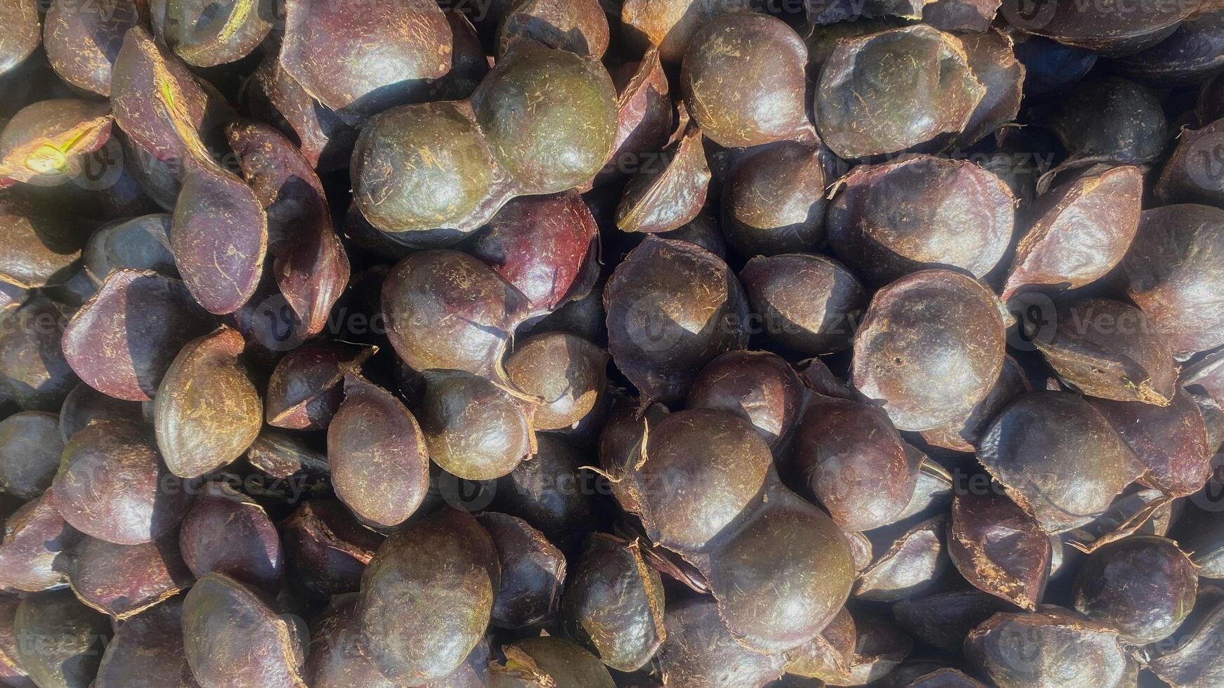 Pile of Jengkol Seeds photo