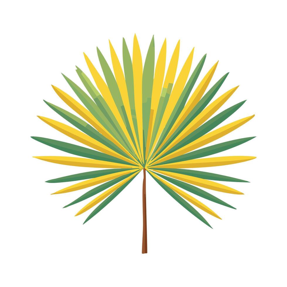 Sunlit Palm Leaf vector