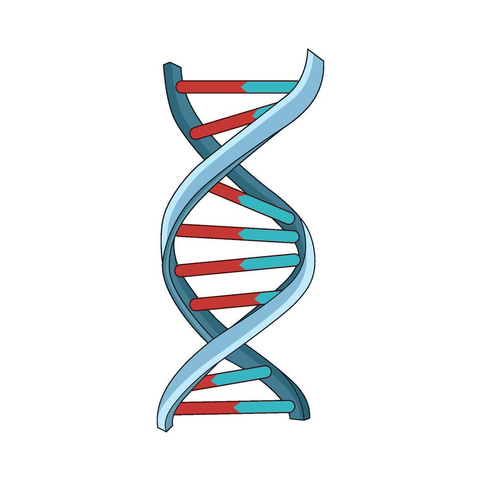 illustration of dna vector