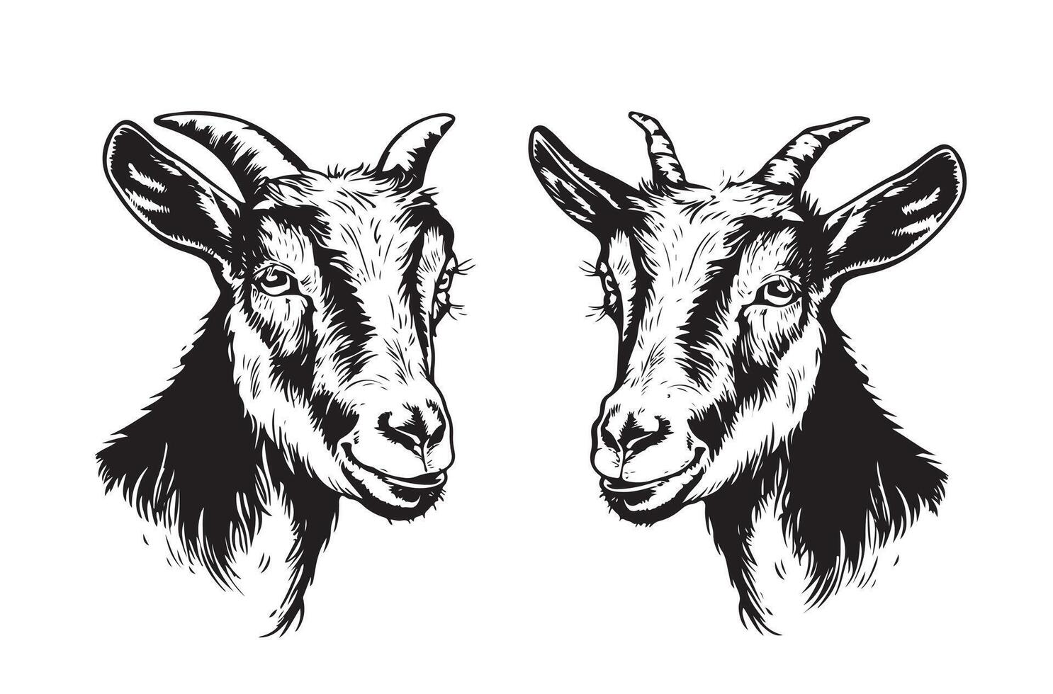Set of hand drawn goat sketch. vector