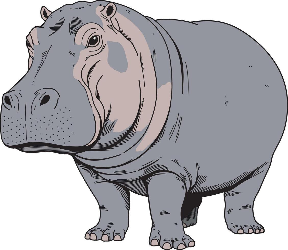 Wild hippopotamus hand drawn illustration vector