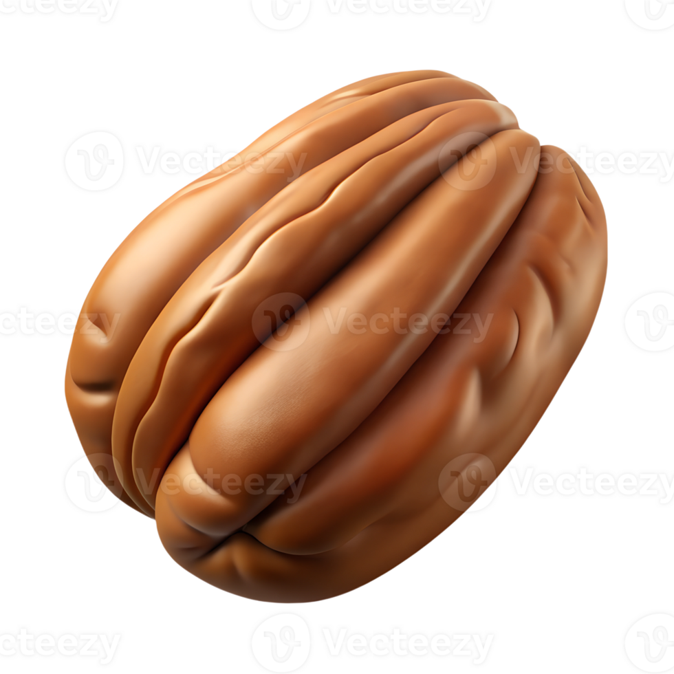 Pecan nut 3d illustration isolated on the transparent background png