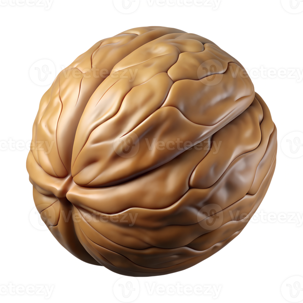 Walnut 3d illustration isolated on the transparent background png