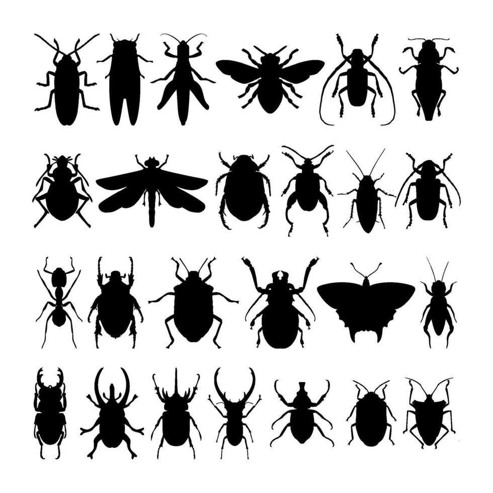 set of Insects silhouette vector