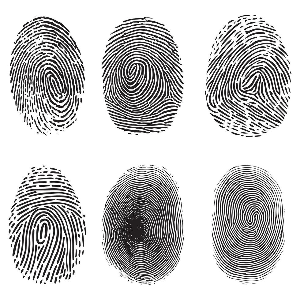 Collection of different outline fingerprints vector