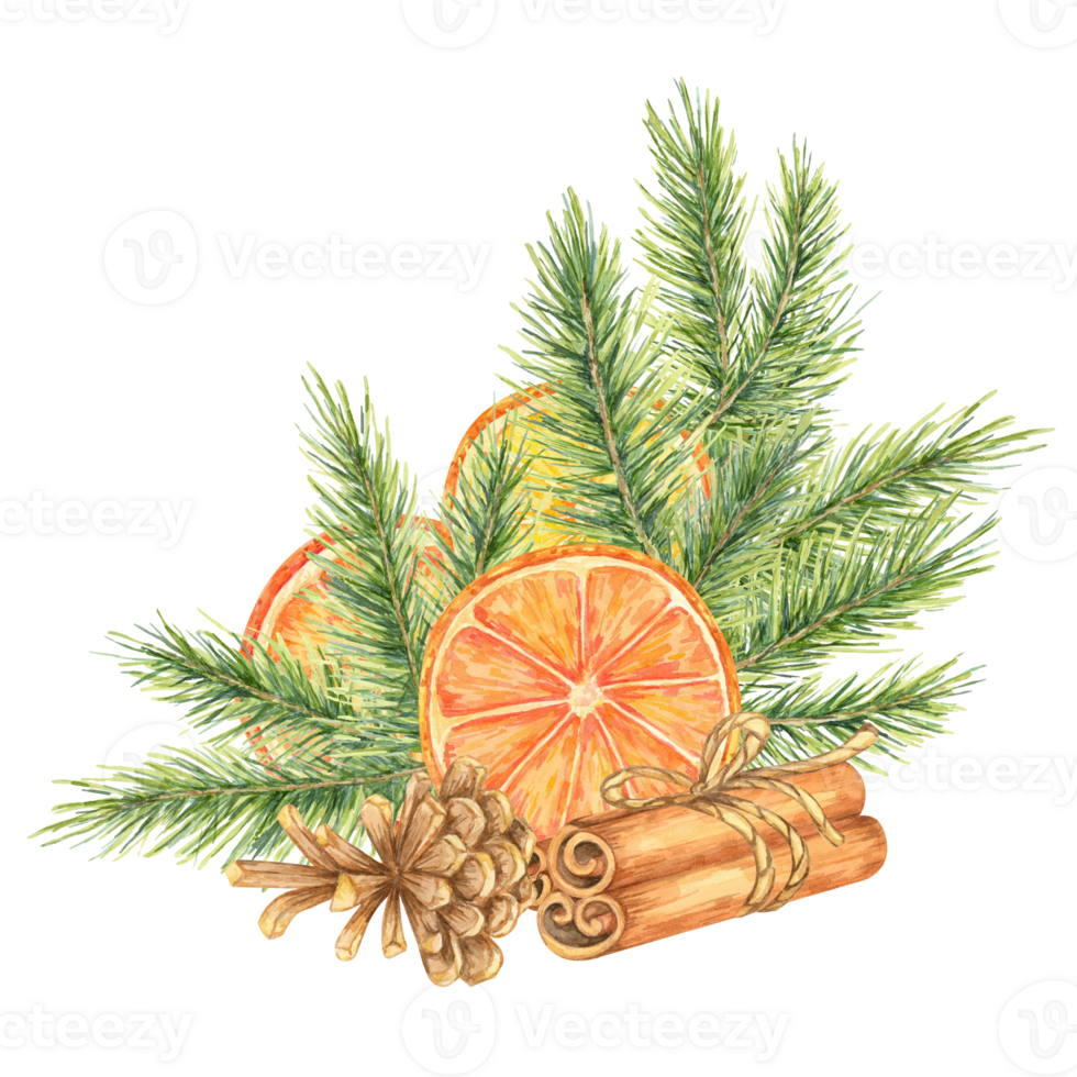 Orange slices, pine branches, cinnamon sticks, and cones. Watercolor clipart for winter crafts, holiday-themed invitations, and product packaging. Adds a festive element to digital and printed designs png