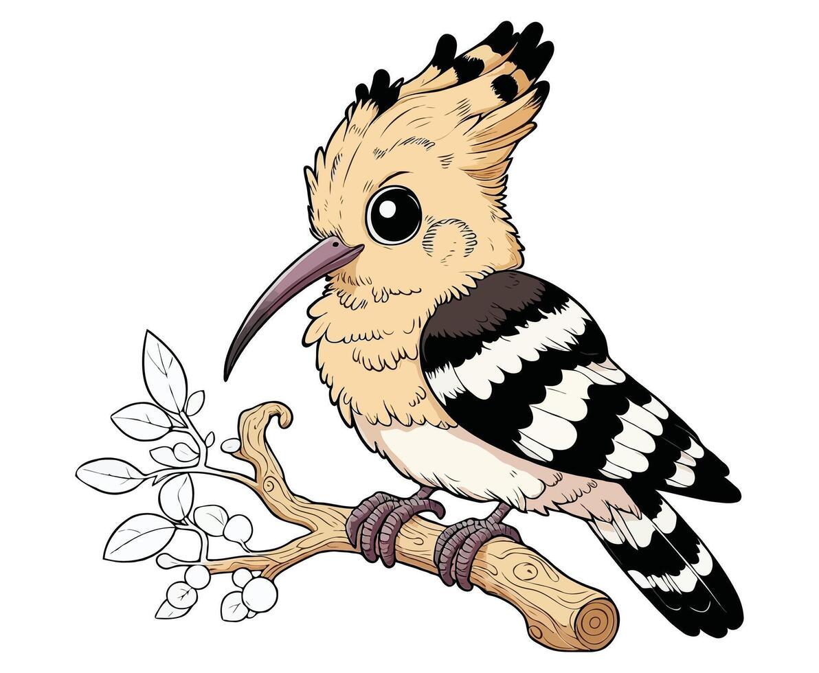 Hoopoe Bird color on a white background vector
