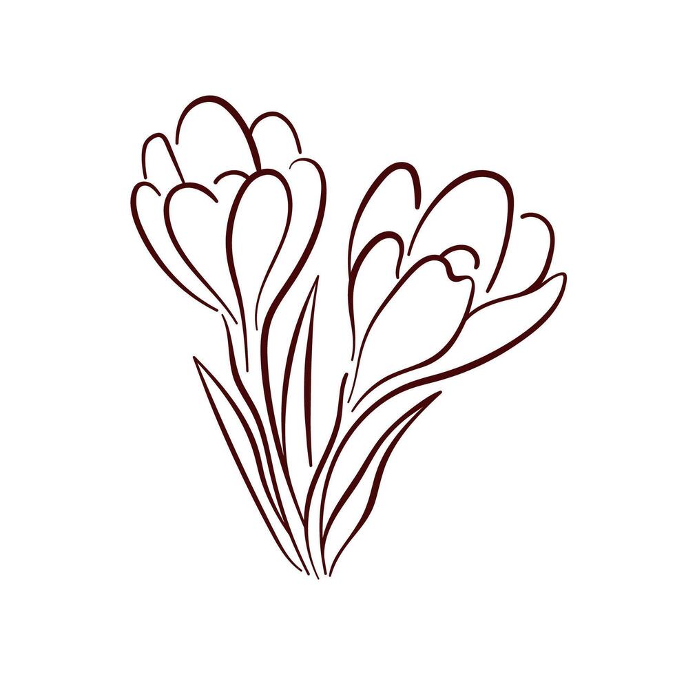 Elegant crocus spring flower in minimal line art style. Perfect for floral design, botanical print, greeting card, textile and home decor. vector