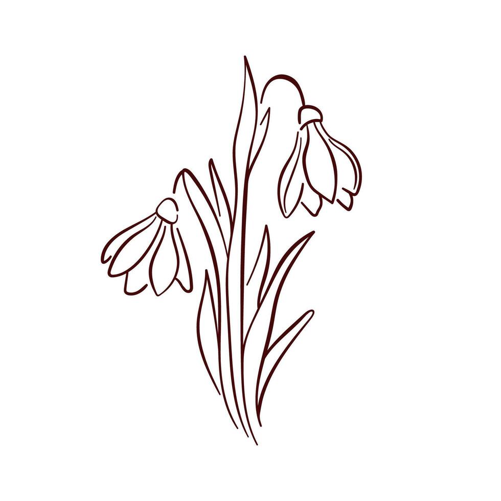 Snowdrop flower drawn in a minimalistic line art style. Perfect for spring design, nature illustration, botanical project and elegant decorative element. vector