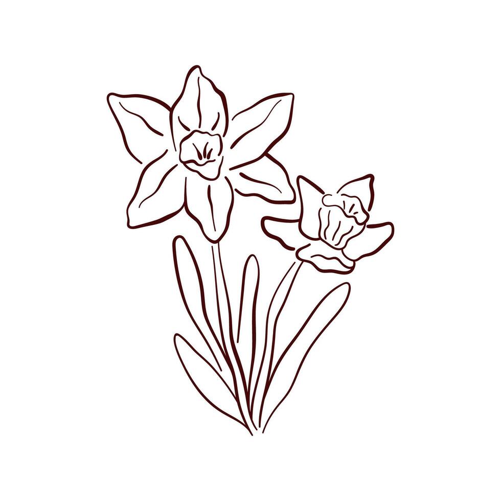 Simple daffodil spring flower in a delicate line art style. Ideal for spring themed design, stationery, textile, home decor and botanical illustrations with a natural and minimal aesthetic. vector