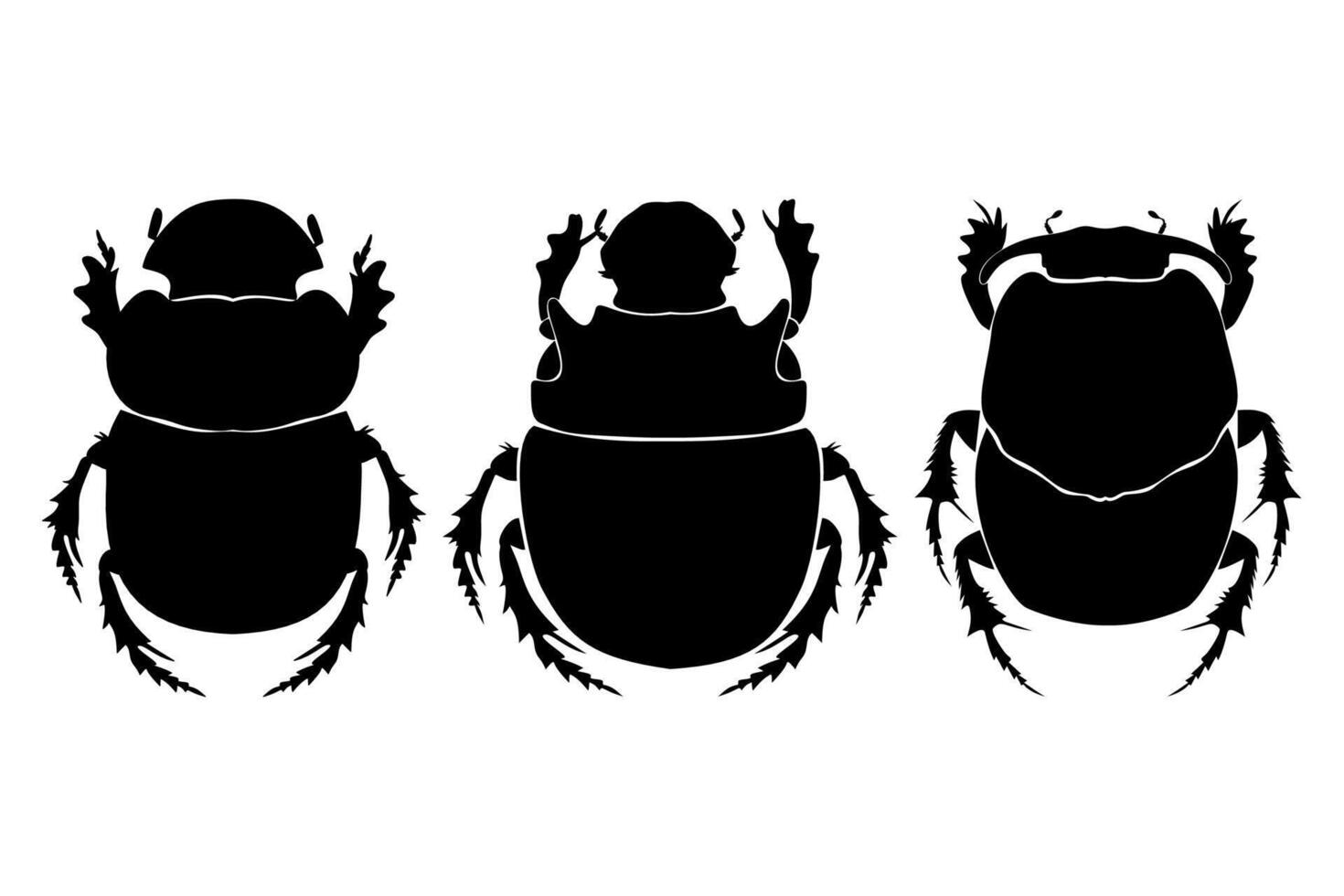 Beetle silhouette illustration set on white background. vector
