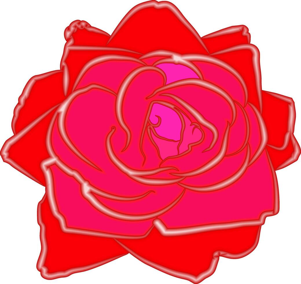 red rose and magenta tones with light edges vector
