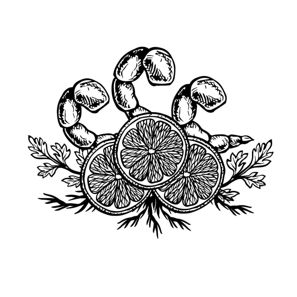 Shrimp dish with lemon and herbs. graphics with the image of cooked seafood. A hand-drawn black and white illustration of the dish. For a menu, poster, label. For cooking recipes, invitations. vector