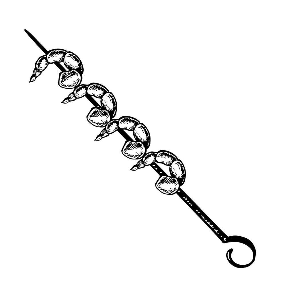 Shrimp kebab on a skewer. graphics depicting Asian cuisine. A black and white hand-drawn illustration of seafood. For menus, posters, labels. For cooking recipes, restaurants. vector