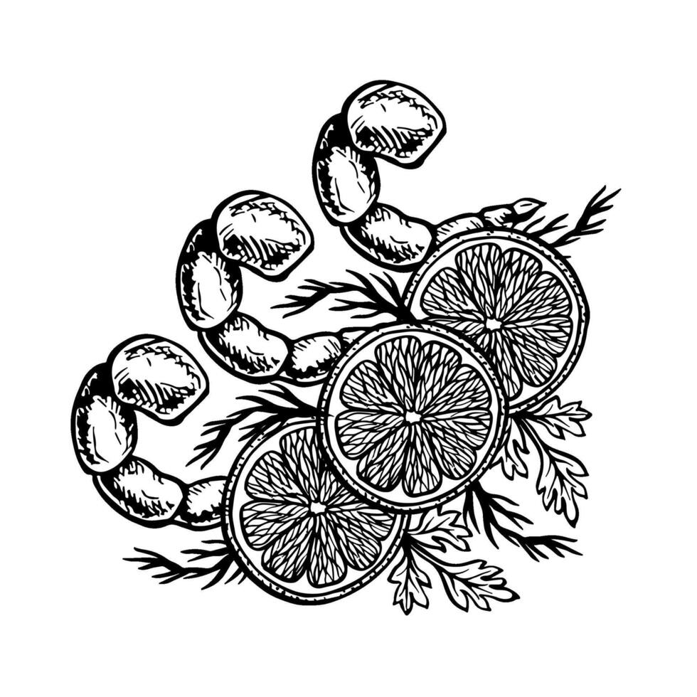 Shrimp dish with lemon and herbs. graphics with the image of cooked seafood. A hand-drawn black and white illustration of the dish. For menus, posters, labels, recipes, invitations. vector
