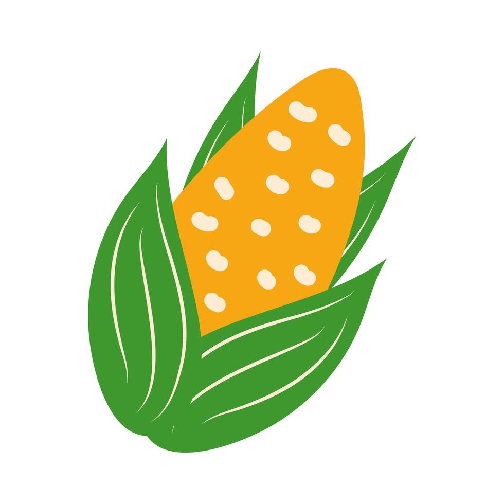 Ripe corn in flat design. Kwanzaa holiday festival gift and harvest symbol. illustration isolated. vector