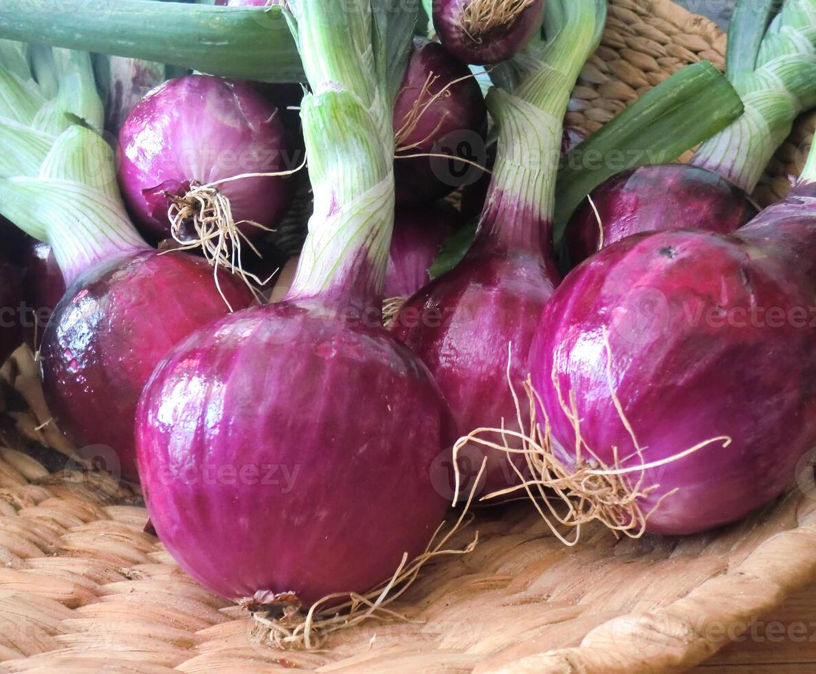 Red onions in a wicker basket photo